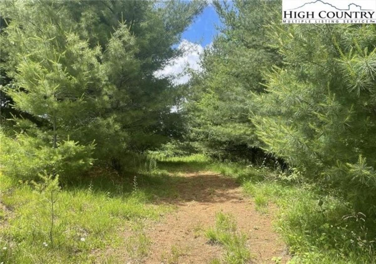 Picture of Residential Land For Sale in Jefferson, North Carolina, United States