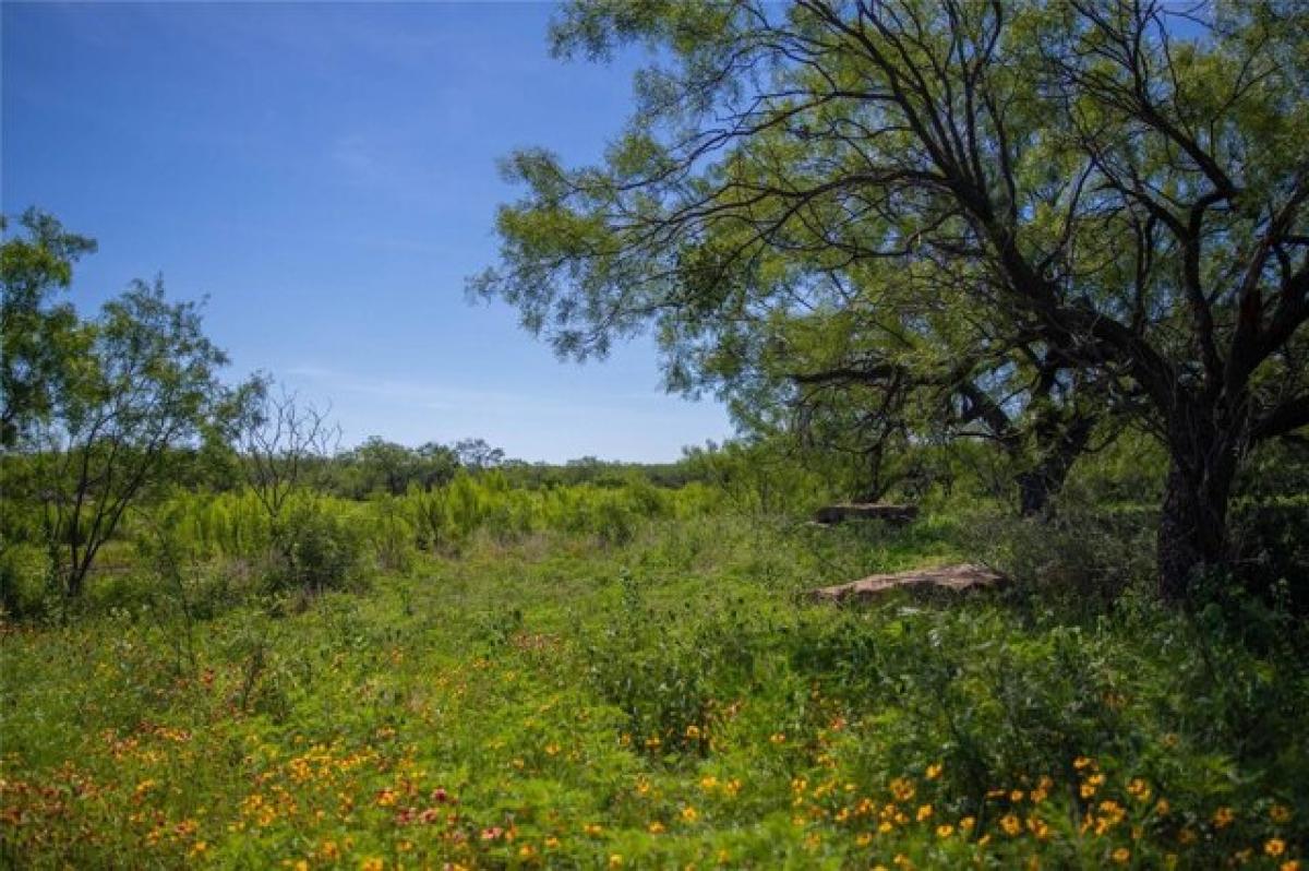 Picture of Residential Land For Sale in Lohn, Texas, United States