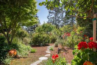 Home For Sale in Scotts Valley, California