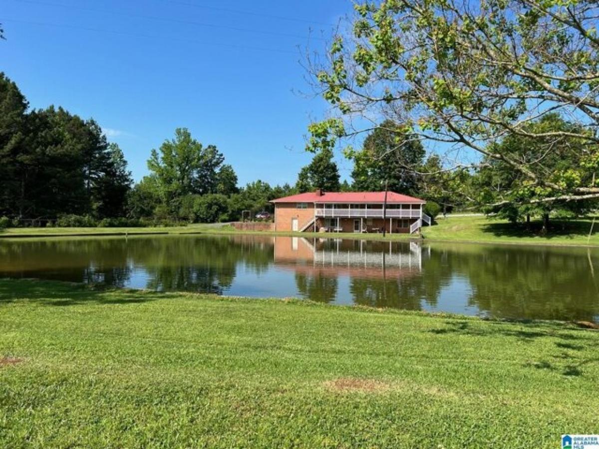 Picture of Home For Sale in Lineville, Alabama, United States