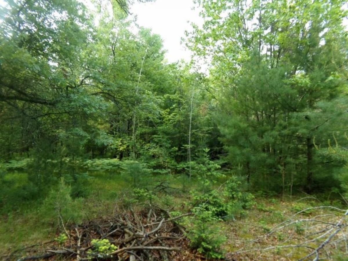Picture of Residential Land For Sale in Suring, Wisconsin, United States