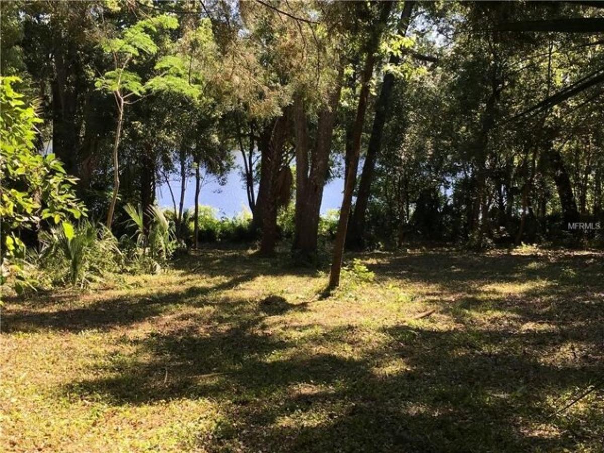 Picture of Residential Land For Sale in Lake Helen, Florida, United States
