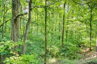 Residential Land For Sale in Pigeon Forge, Tennessee