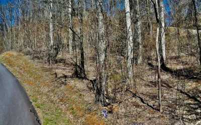 Residential Land For Sale in Hayesville, North Carolina