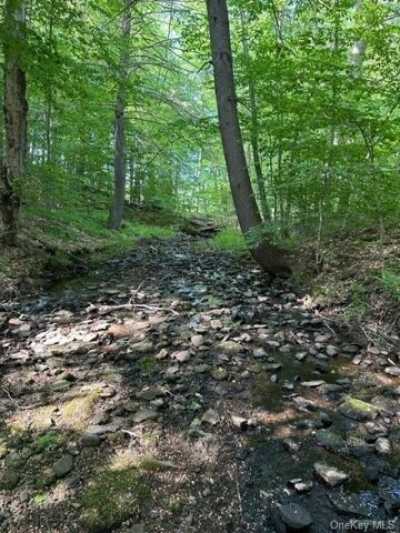 Residential Land For Sale in Liberty, New York
