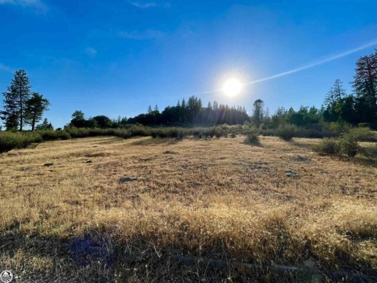 Picture of Residential Land For Sale in Twain Harte, California, United States