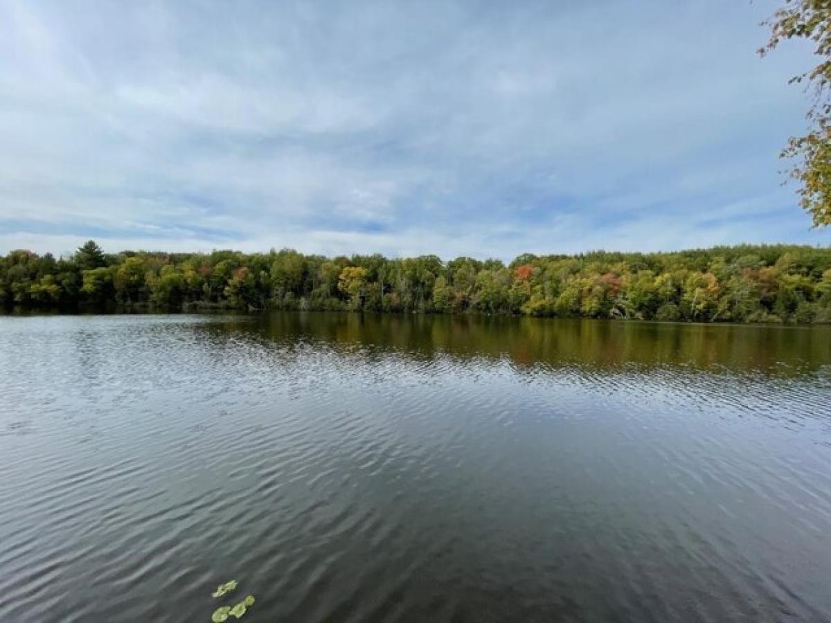 Picture of Residential Land For Sale in Rhinelander, Wisconsin, United States