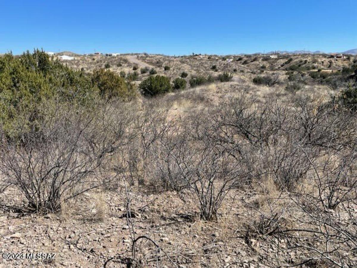 Picture of Residential Land For Sale in Rio Rico, Arizona, United States