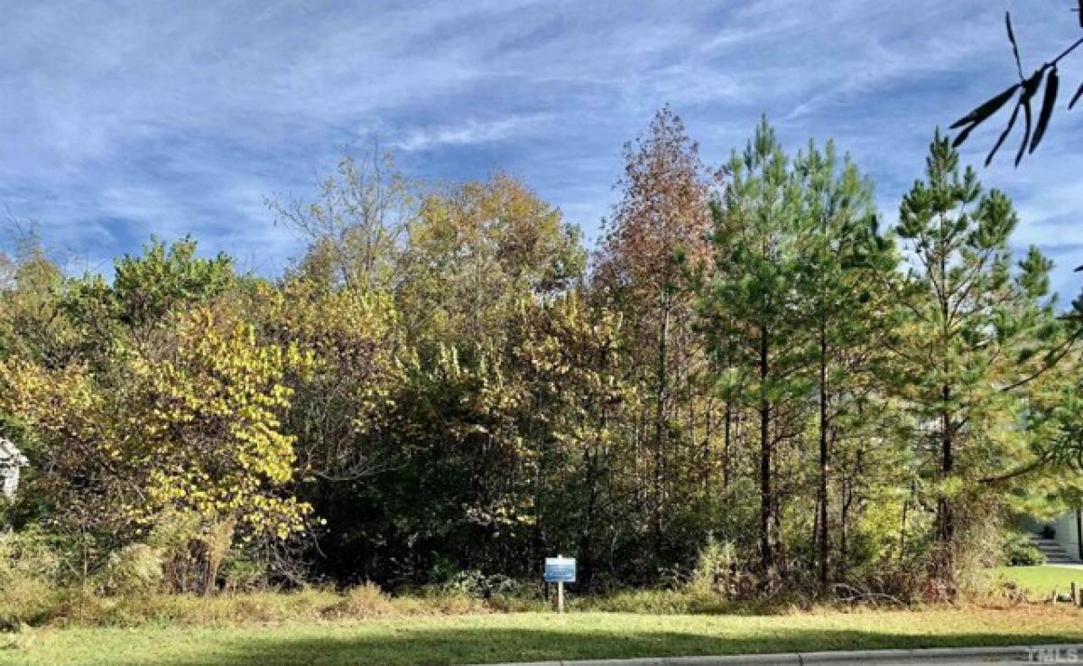 Picture of Residential Land For Sale in Pittsboro, North Carolina, United States