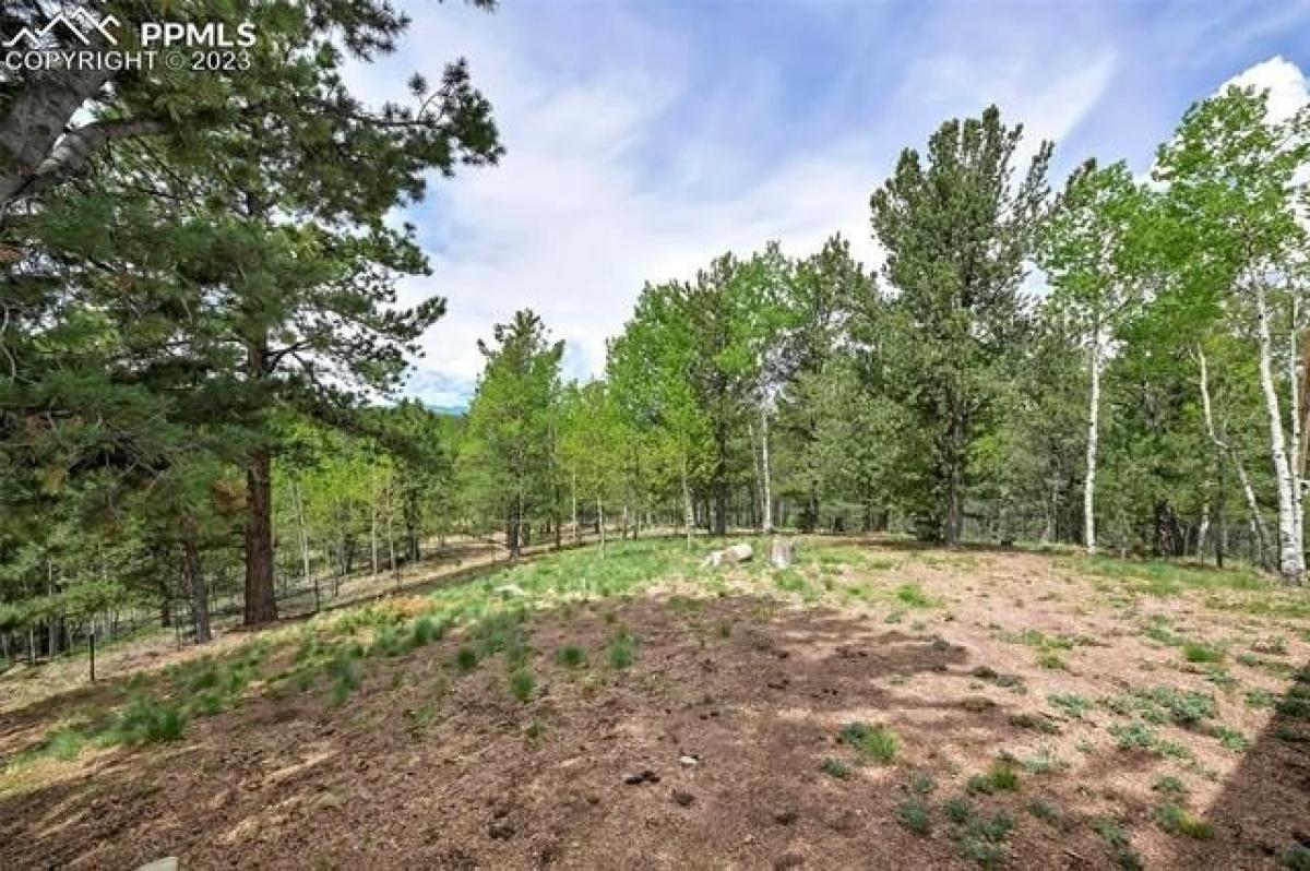 Picture of Home For Sale in Divide, Colorado, United States