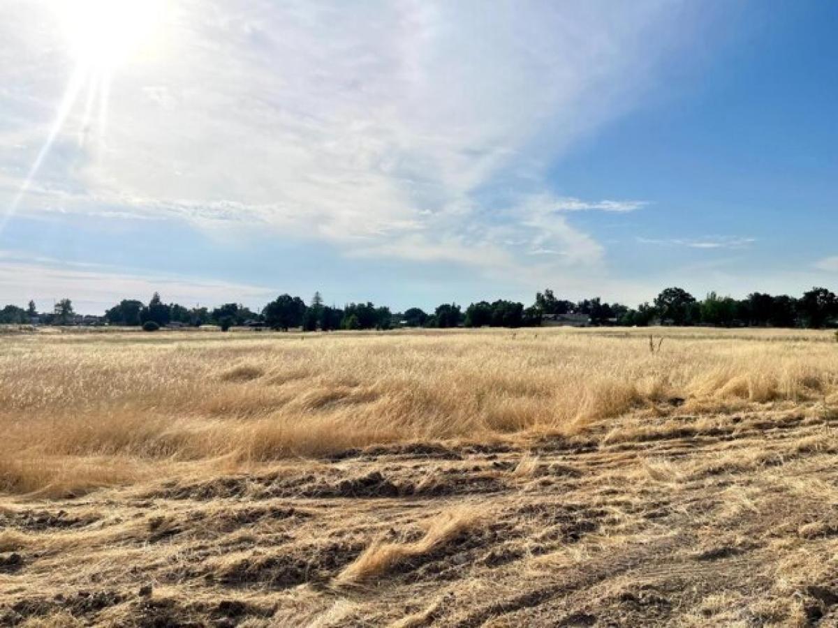 Picture of Residential Land For Sale in North Highlands, California, United States