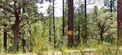 Residential Land For Sale in Payson, Arizona