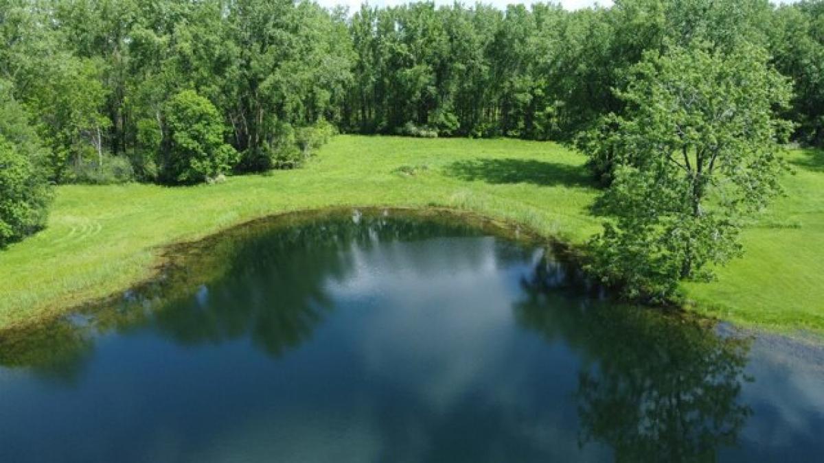 Picture of Residential Land For Sale in Suamico, Wisconsin, United States