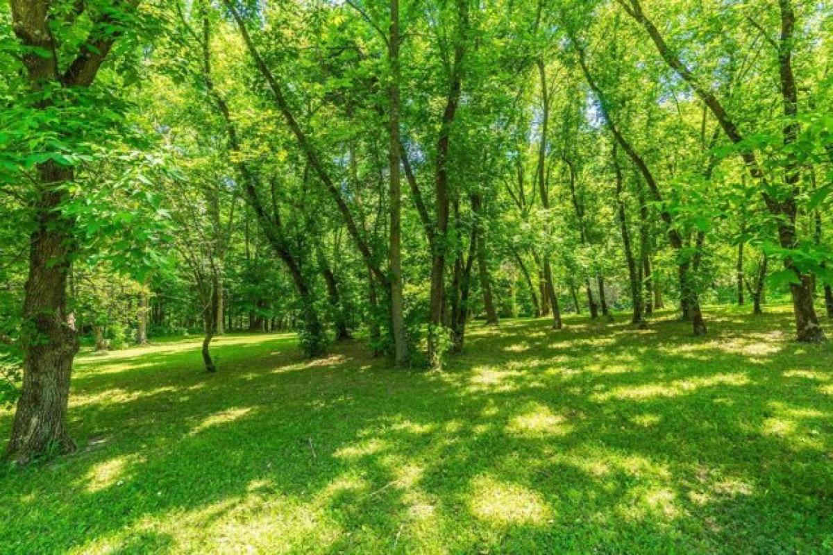 Picture of Residential Land For Sale in Wausau, Wisconsin, United States