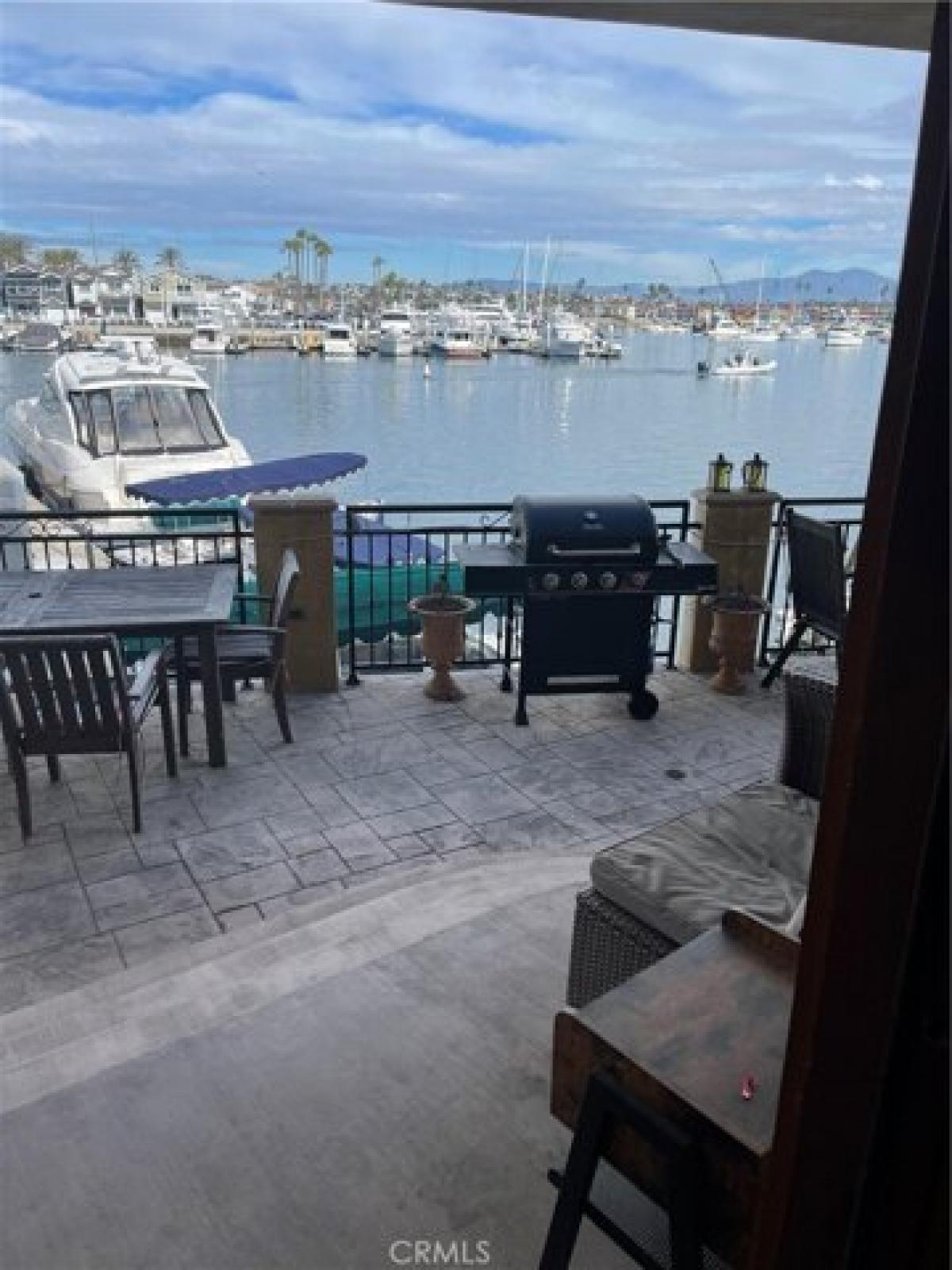 Picture of Apartment For Rent in Newport Beach, California, United States