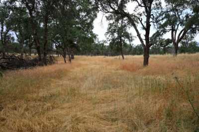 Residential Land For Sale in Browns Valley, California