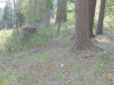 Residential Land For Sale in Trout Lake, Washington