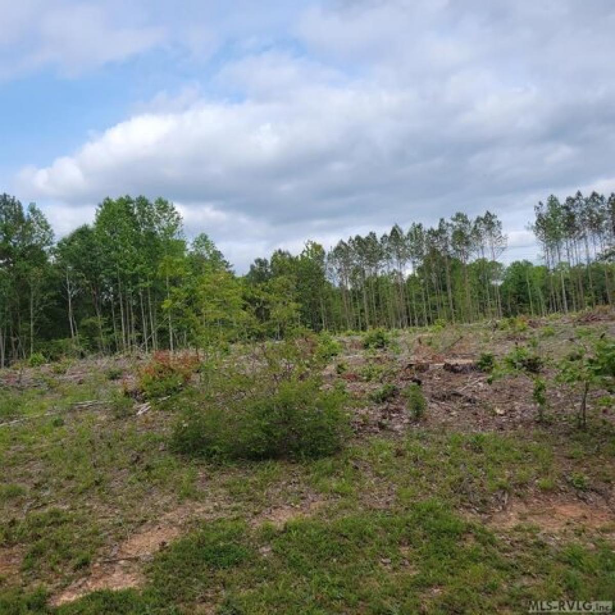 Picture of Residential Land For Sale in Littleton, North Carolina, United States