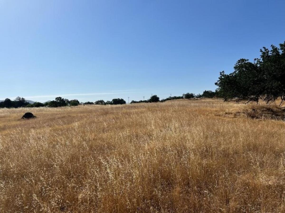 Picture of Residential Land For Sale in Clovis, California, United States