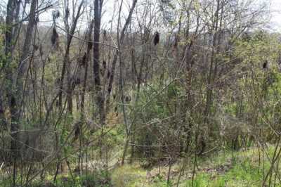 Residential Land For Sale in Bean Station, Tennessee