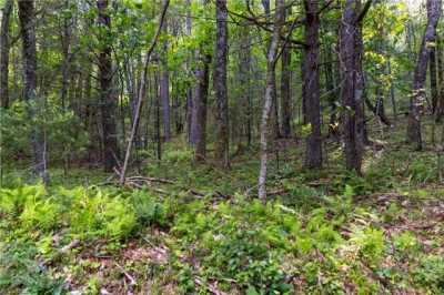 Residential Land For Sale in Glade Valley, North Carolina