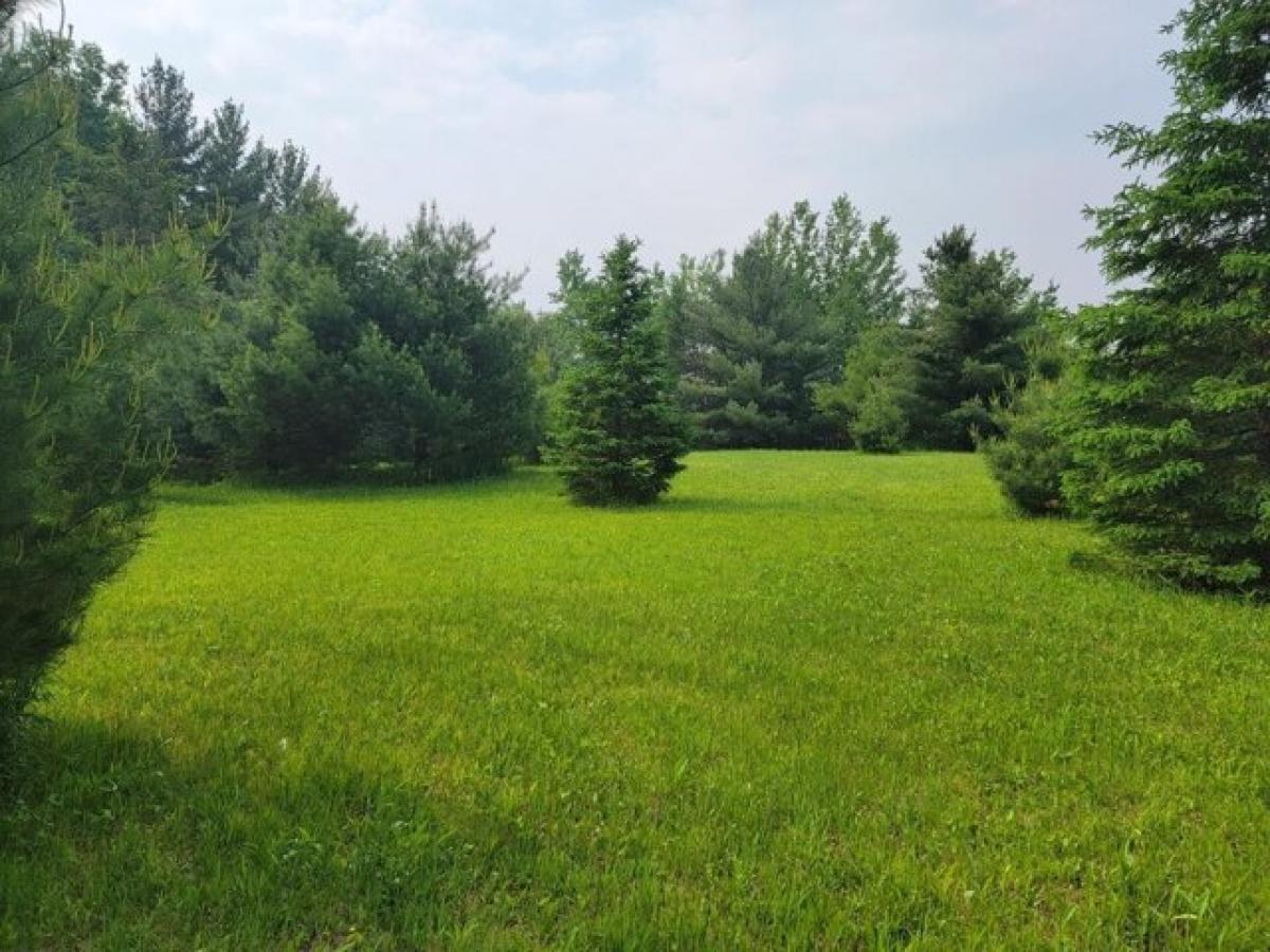 Picture of Residential Land For Sale in Gleason, Wisconsin, United States