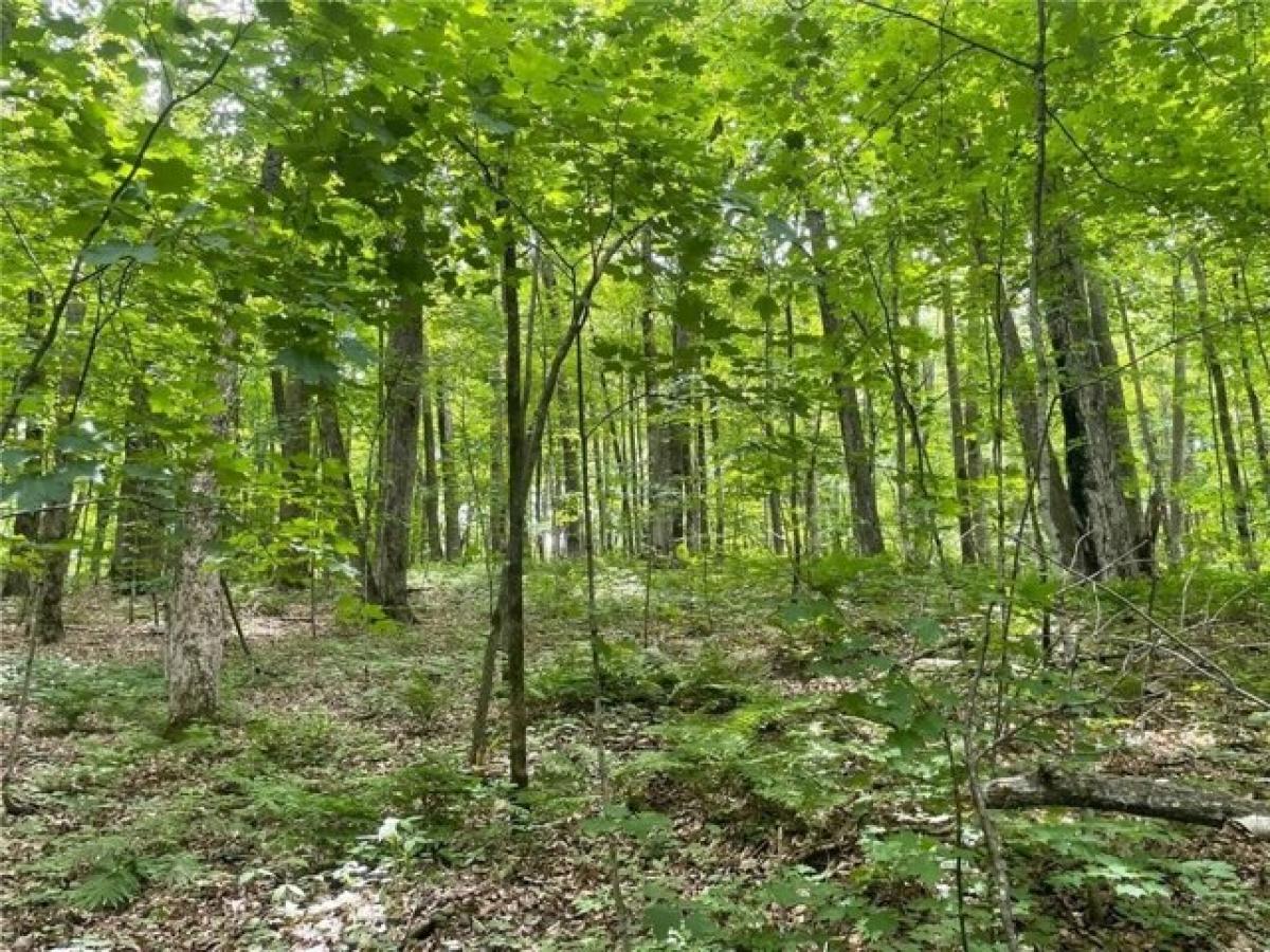 Picture of Residential Land For Sale in Birchwood, Wisconsin, United States