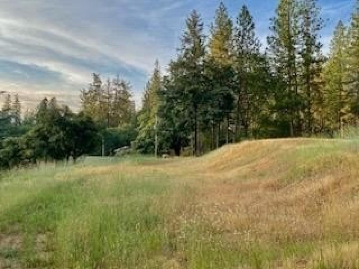 Picture of Residential Land For Sale in Applegate, California, United States