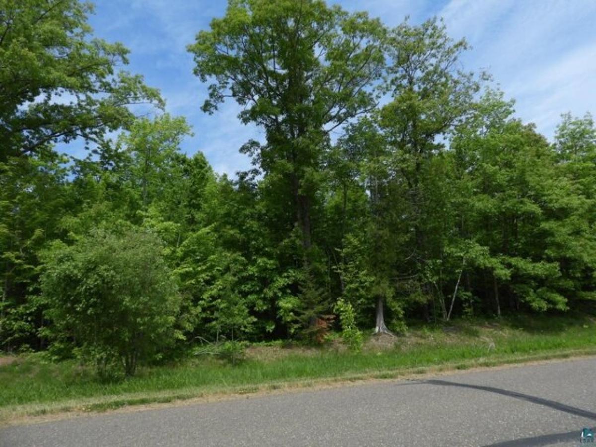 Picture of Residential Land For Sale in Bayfield, Wisconsin, United States