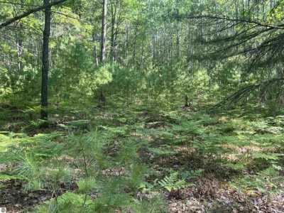 Residential Land For Sale in Fife Lake, Michigan