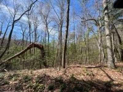 Residential Land For Sale in Chilhowie, Virginia