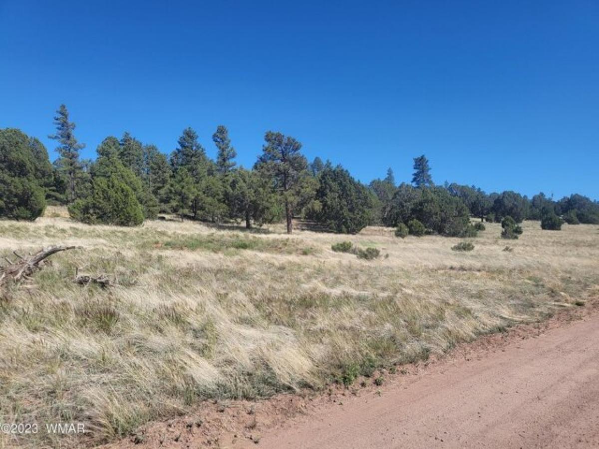 Picture of Residential Land For Sale in Pinedale, Arizona, United States