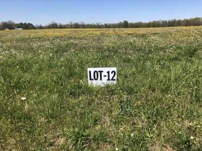 Residential Land For Sale in Summertown, Tennessee