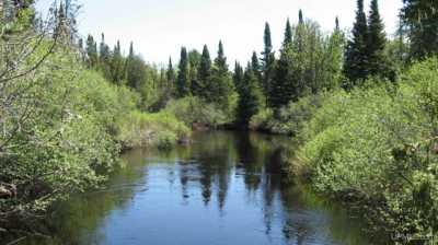 Residential Land For Sale in Newberry, Michigan