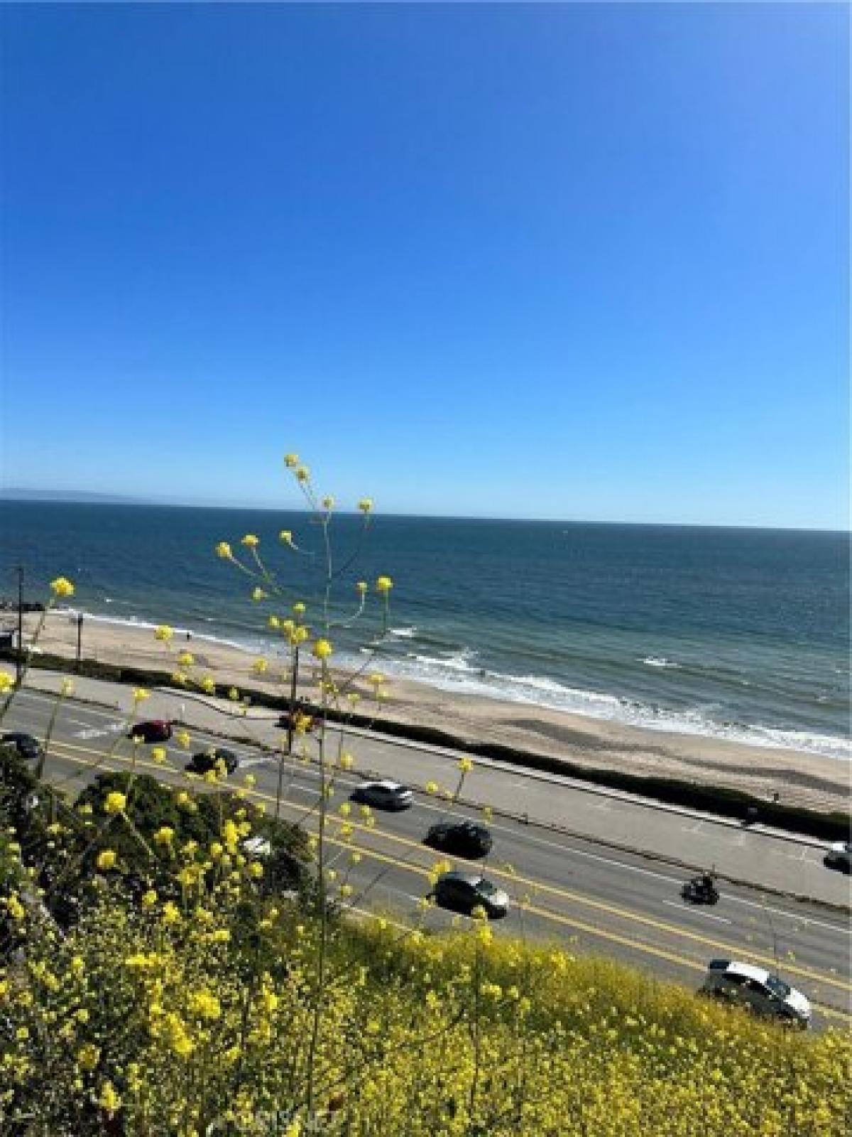 Picture of Residential Land For Sale in Pacific Palisades, California, United States