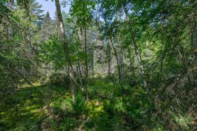Residential Land For Sale in Conover, Wisconsin