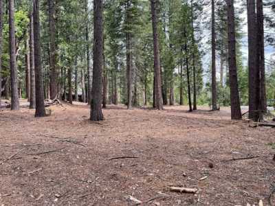 Residential Land For Sale in Camp Connell, California