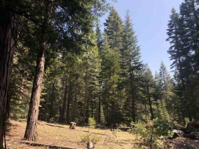 Residential Land For Sale in McCloud, California