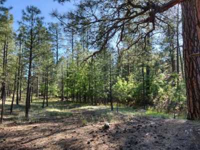 Residential Land For Sale in Happy Jack, Arizona