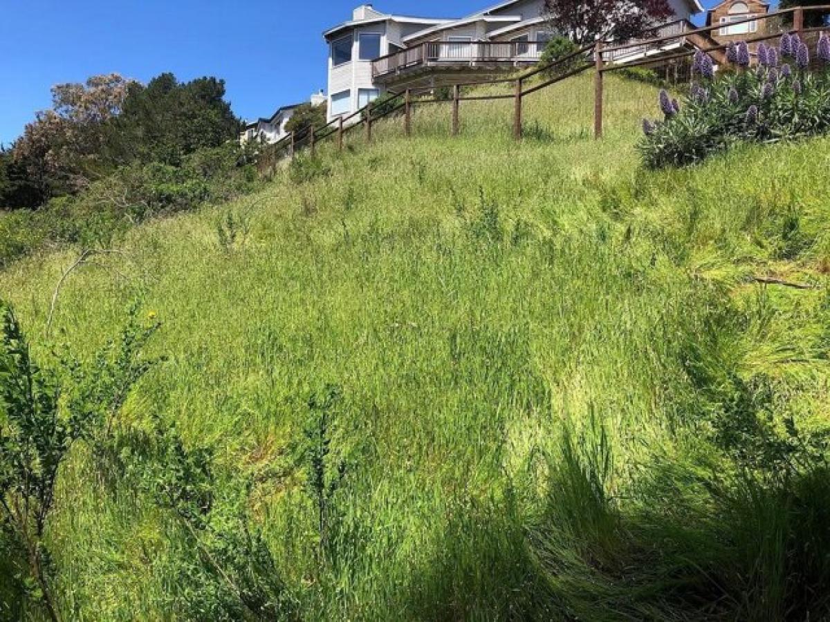 Picture of Residential Land For Sale in Mill Valley, California, United States