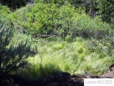 Residential Land For Sale in Janesville, California