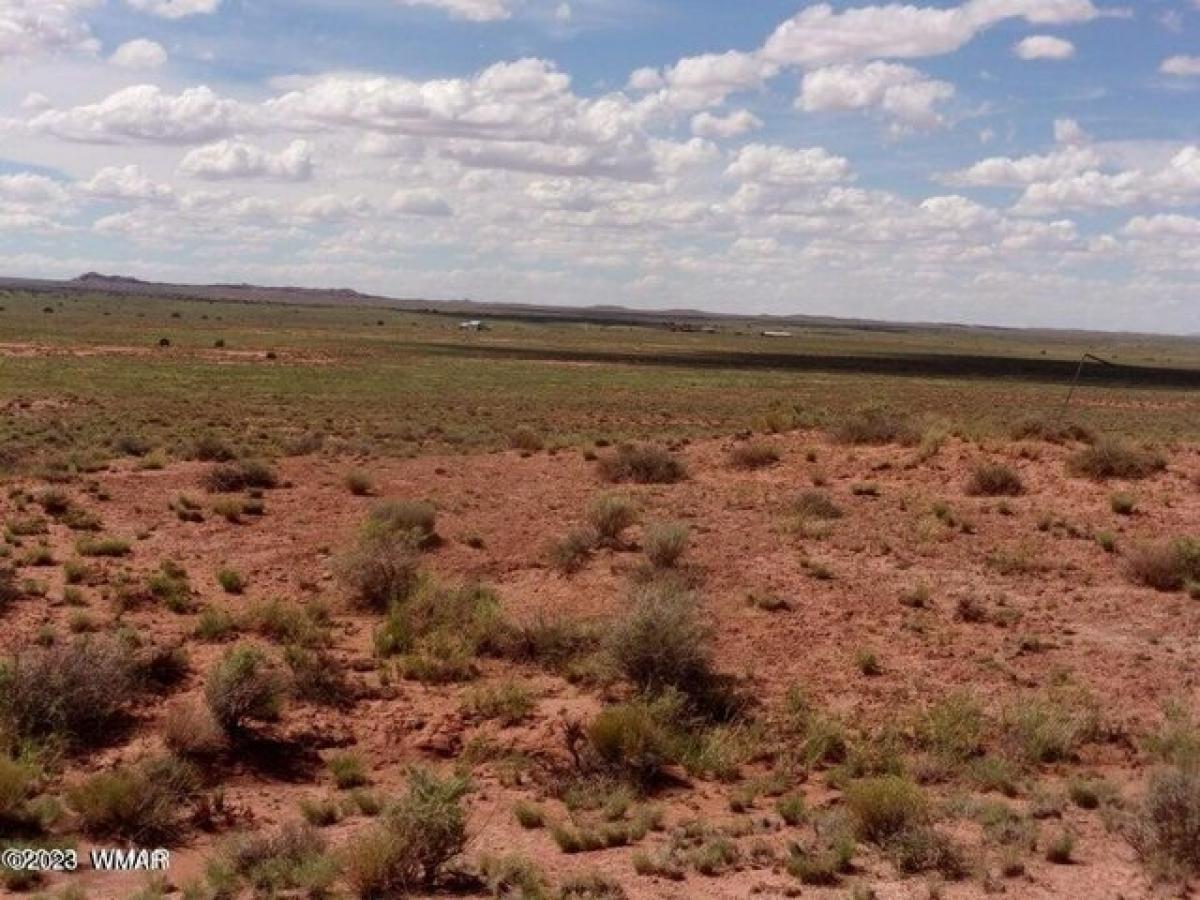 Picture of Residential Land For Sale in Snowflake, Arizona, United States
