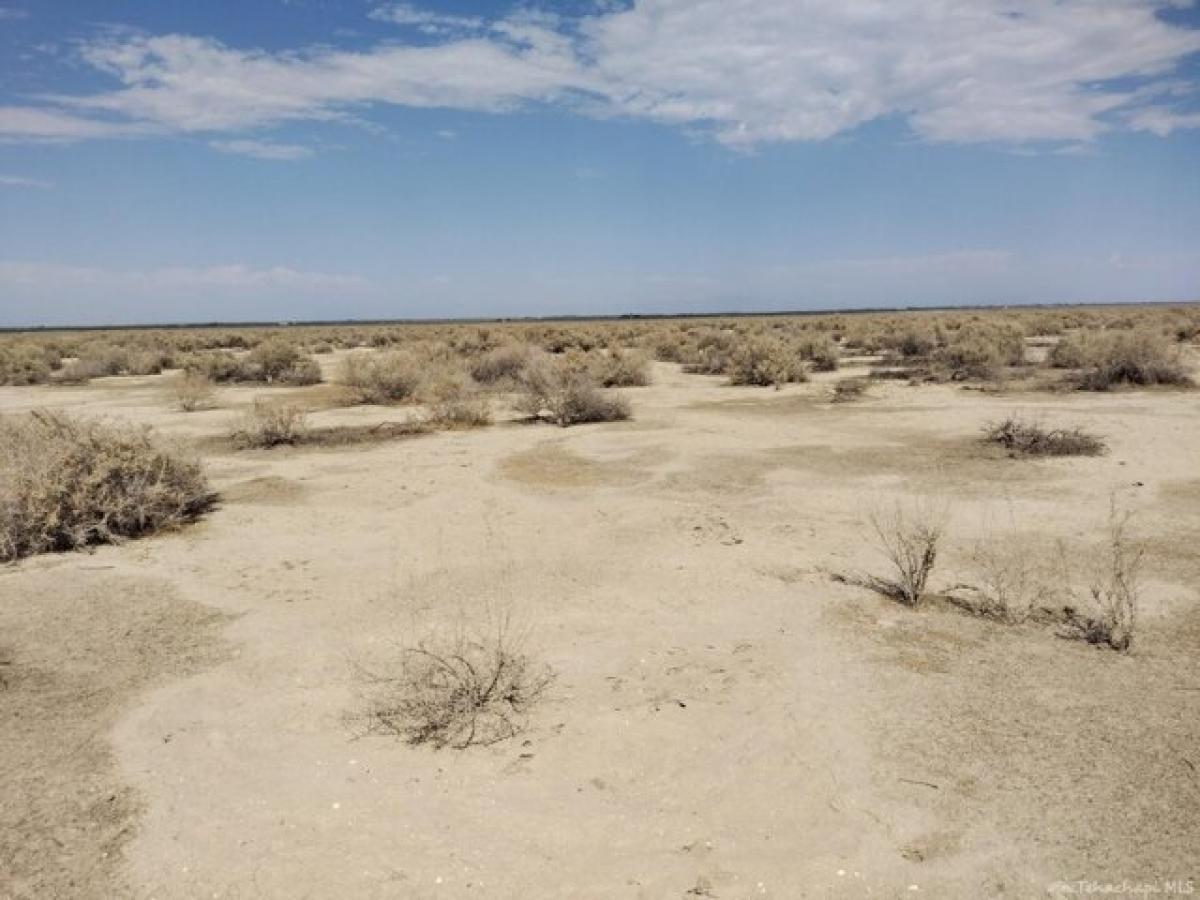 Picture of Residential Land For Sale in Buttonwillow, California, United States