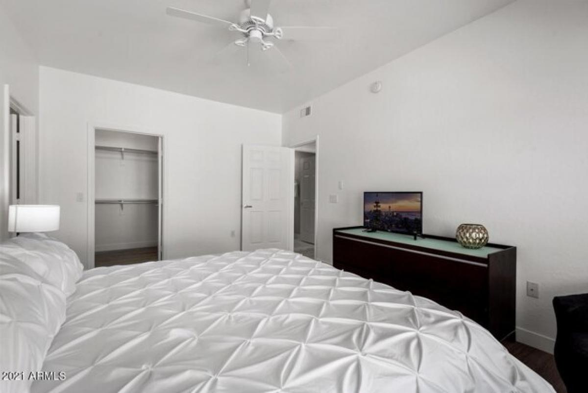 Picture of Apartment For Rent in Scottsdale, Arizona, United States