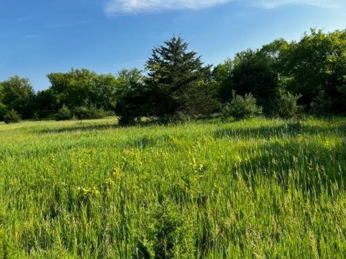 Picture of Residential Land For Sale in Markesan, Wisconsin, United States