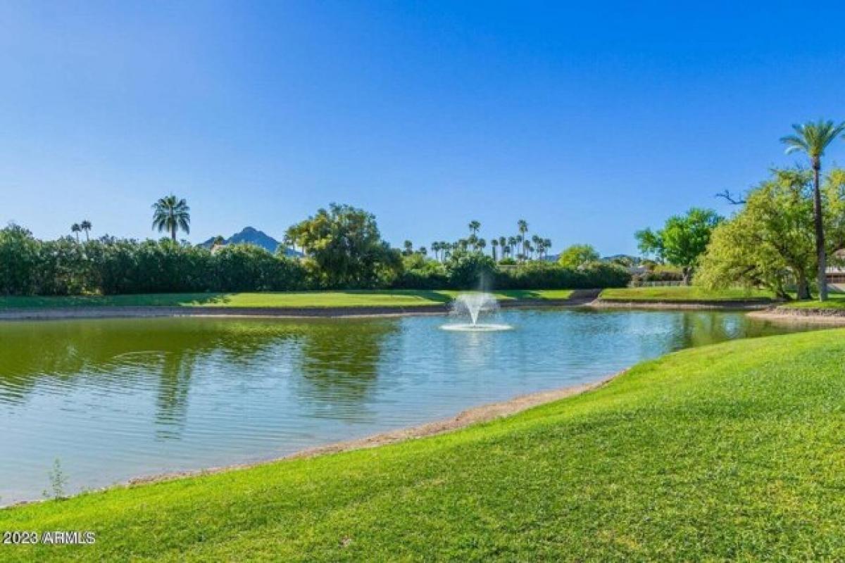 Picture of Apartment For Rent in Scottsdale, Arizona, United States