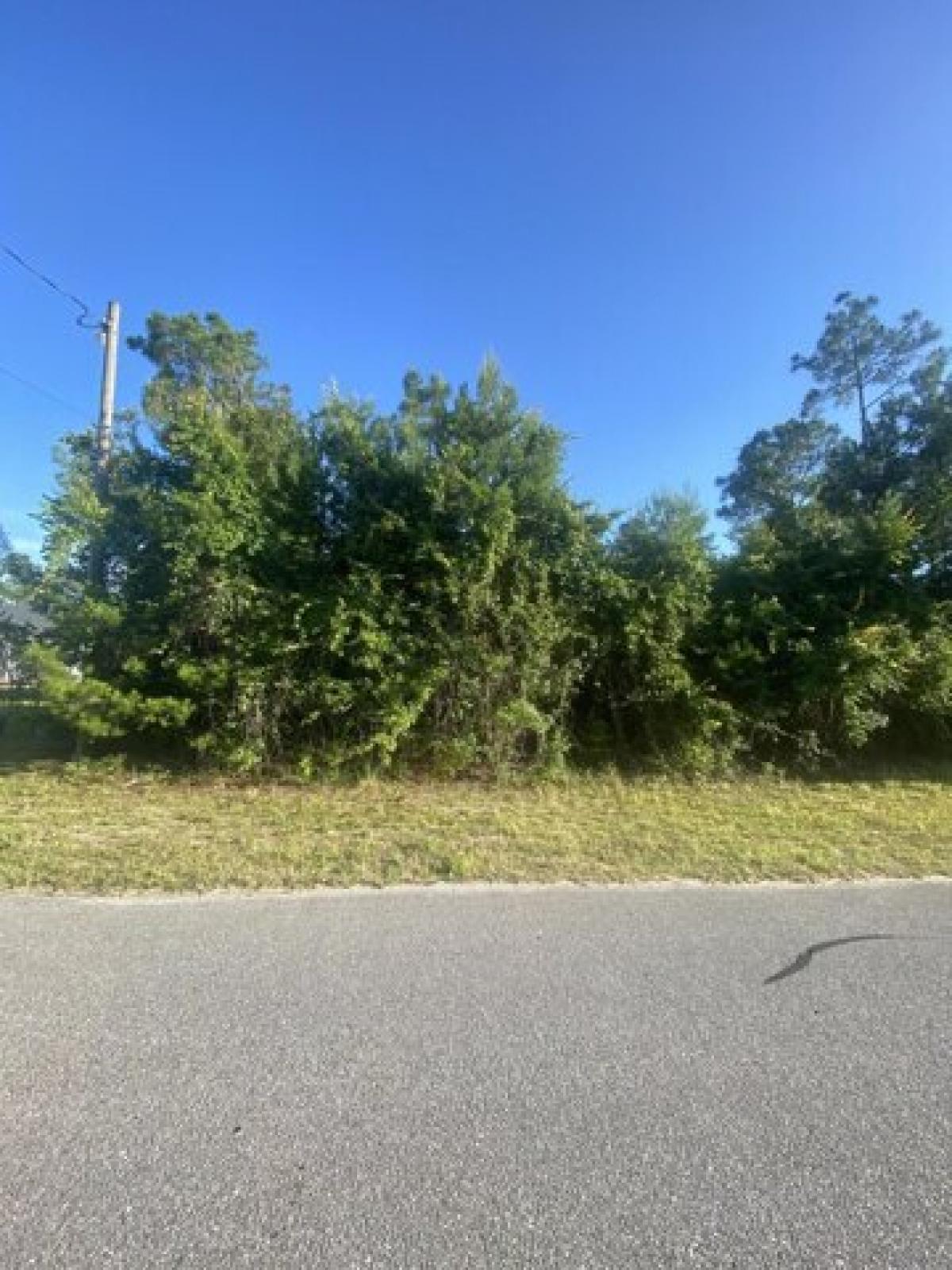Picture of Residential Land For Sale in Southport, Florida, United States