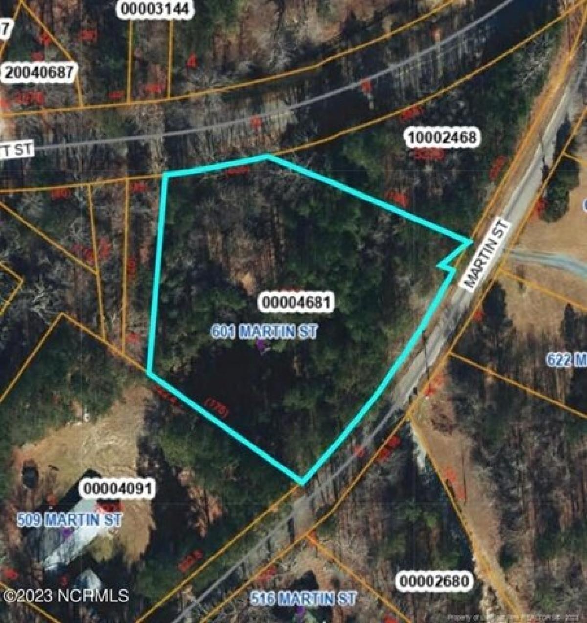 Picture of Residential Land For Sale in Carthage, North Carolina, United States
