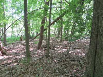 Residential Land For Sale in Blanchard, Michigan