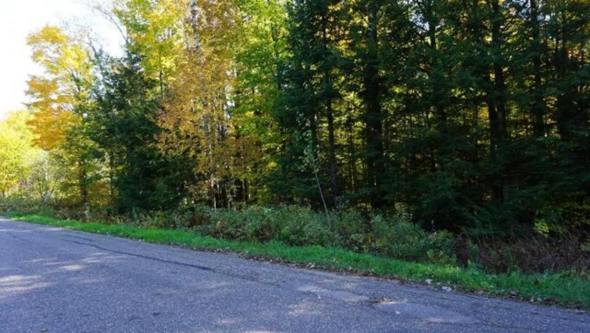 Picture of Residential Land For Sale in Rhinelander, Wisconsin, United States